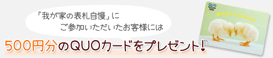 我が家の表札自慢にご参加いただいたお客様には、500円分のQUOカードをプレゼント！